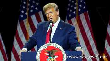 The Big Stories: Trump's NATO comment fallout, and Florida lawmakers' push for weaker pot