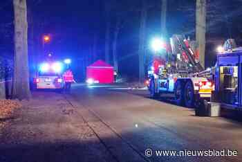 Negen maanden cel gevraagd voor dronken Hamontenaar die fietser doodrijdt en vlucht
