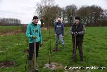 Duizend bomen extra voor vallei Beneden-Dender