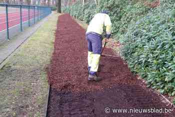 Nieuwe toplaag voor Finse piste in sportpark Hemelrijk: nog meer loopcomfort