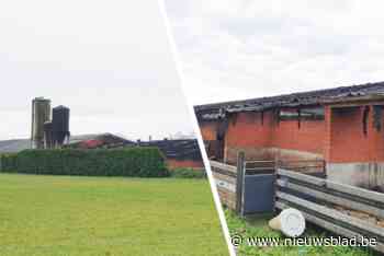 300 zeugen en biggen overleden na zware stalbrand