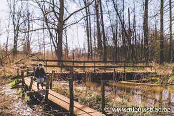 Natuurpunt gaat natuurlijke wetlands in Krabbels en Lovenhoek herstellen