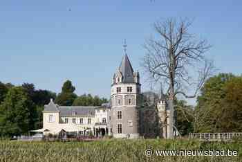 Hoofdbrug naar kasteel de Renesse dinsdag even niet toegankelijk voor vellen dode kastanjelaar