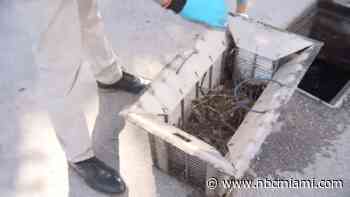 Miami-based company designs new way to tackle pollution in North Bay Village