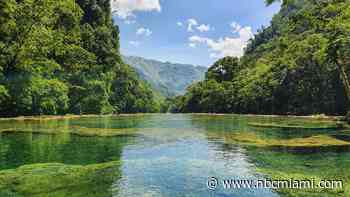 Man who fled to Guatemala, taught yoga under assumed name, pleads guilty to embezzling millions