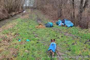 Wilder Müll - auch in Preußisch Oldendorf ein Ärgernis