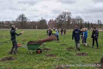 Duizend nieuwe bomen aan de Zuidlede: “Later volgt nog eens vijf hectare bos”