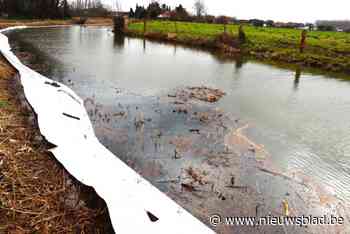 Langelede vervuild door mazout: brandweer legt olie-opslorpende doeken langs oevers