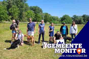 Dan maar boetes voor hondenbaasjes die geen zakje bij hebben: deze bewoners ergeren zich dood aan ‘drollenprobleem’