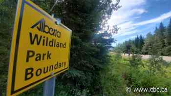 Alberta Parks launches new camping reservation system