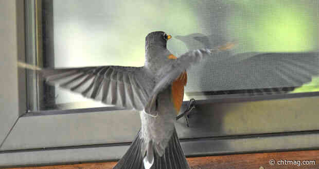 Nurture Group expands pest control presence