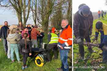 Basisschool zet kinderen aan het werk in de natuur: “Al doende leren ze over biodiversiteit en beheer”