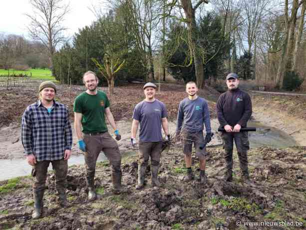 Plantentuin Meise krijgt 2.500 nieuwe bomen en struiken aan Amelvonnesbeek: “Goede reden om voor deze plaats te kiezen”