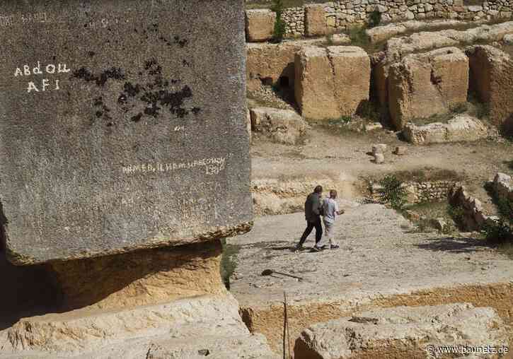 Architektur auf Bärenjagd
 - Filmtipps zur Berlinale 2024