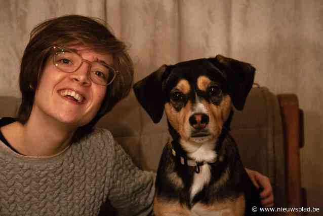 Hond Milo opnieuw op zoek naar warme thuis, baasje Kimberley ten einde raad: “Hij heeft een heel zware rugzak uit z’n thuisland mee”