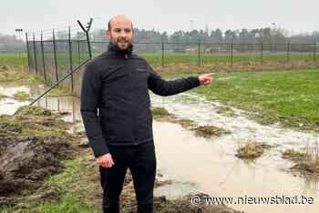 Michiel Hubeau kandidaat Vlaams parlement: “Omdat Vlaanderen het slecht idee van Captain Jack moet afkeuren”