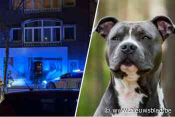 Hond doodgeschoten die baasje en politie aanviel