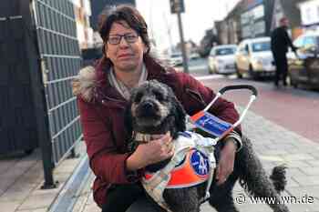 Ärger um einen Assistenzhund für Sehbehinderte