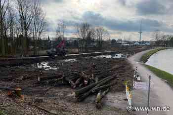 Sträucher und kleinere Bäume am Dortmund-Ems-Kanal entfernt