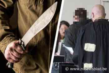 Dertiger die politieagenten aanviel met machete, veroordeeld: “Bedreigen? Ik heb gewoon even mijn wapen getoond”