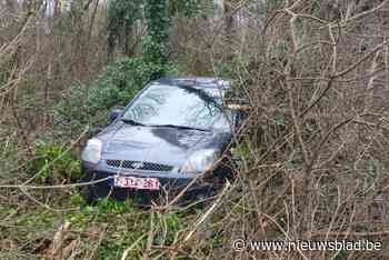 Auto belandt in struikgewas in Bree