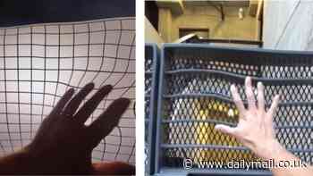 Apple's Vision Pro may rewire people's brains, distort how they perceive the world and cause 'simulator sickness' condition, study suggests