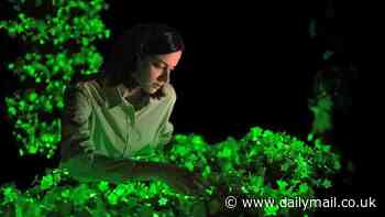 Genetically engineered plants that GLOW IN THE DARK go on sale in the US for first time for just $29