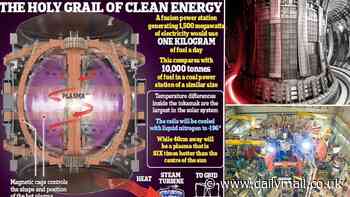 Nuclear fusion breakthrough: British reactor sets a new world record after releasing 69 megajoules of energy for five seconds - taking the world closer towards 'limitless clean energy'