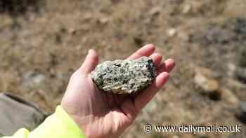 'Beyond our wildest dreams': 2.34 BILLION metric tons of rare earth minerals discovered in Wyoming that could make US 'world leader'