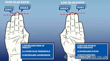 Revealed: What the length of your fingers says about you, according to science