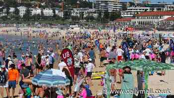 January was officially the hottest on RECORD, figures reveal - as concerned climate scientists warn 'rapid reductions' in greenhouse gas emissions are the only way to curb global warming