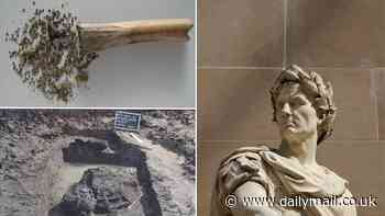 Romans may have used a poisonous plant as a hallucinogenic drug 2,000 years ago, study finds