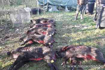 Kinrooise jagers zien merendeel jachten op evers in het water vallen