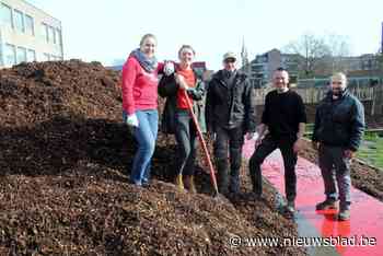 Beton op speelplaats Emmaüs basisschool ruimt plaats voor meer groen