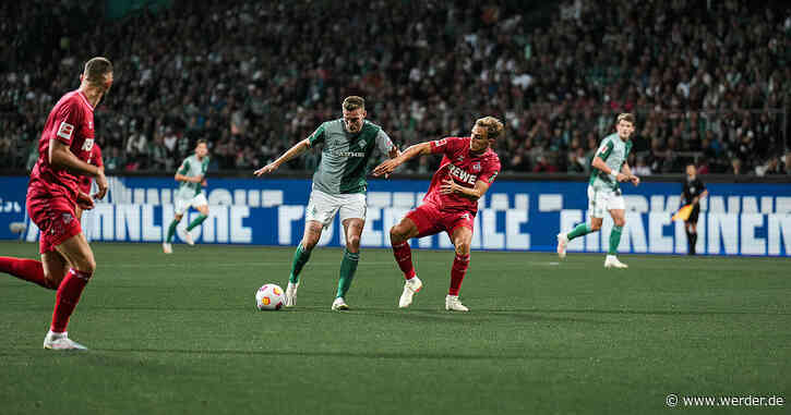 Breite Brust gegen frischen Wind