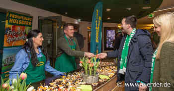 Werder - 1. FC Heidenheim