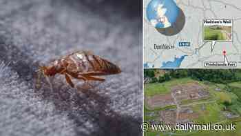 Bedbugs came to Britain with the Romans: Scientists discover bloodsucking parasites in 2,000-year-old soil samples near Hadrian's Wall