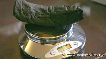 First passages of Herculaneum scroll are DECIPHERED by AI: Students use program to read more than 2,000 words on charred papyrus buried by Mount Vesuvius eruption in 79AD