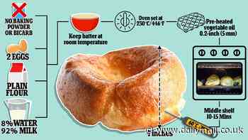 How to make the perfect Yorkshire puddings, according to scientists (who claim they must be 4 inches tall!)