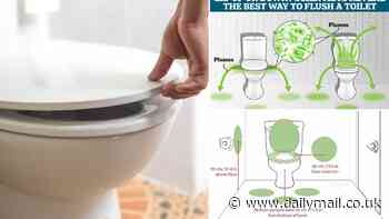 Will flushing with the lid down stop your bathroom being peppered with the dreaded 'toilet plume'? Scientists test age-old theory and make a very surprising discovery