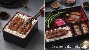 Sushi of the future? Scientists reveal the first ever lab-grown EEL - and it looks and tastes just like the real deal