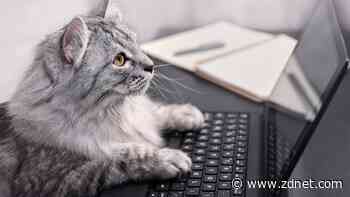 How to use Copilot Pro to write, edit, and analyze your Word documents