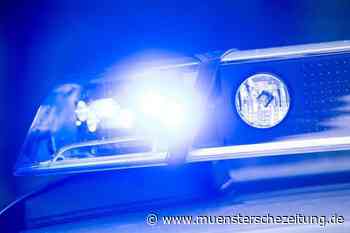 Zwei Elfjährige in Gewahrsam genommen