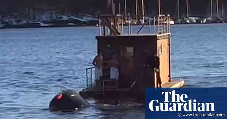 Floating sauna rescues Tesla driver and passenger from Oslo fjord – video