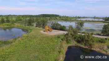 Wetlands project in Grimsby, Ont., part of effort to 'bring southern Ontarians back to the waterfront': prof