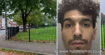 Violent robber throws four-year-old girl in the air and hits her shocked dad with his own dog lead in horrifying incident