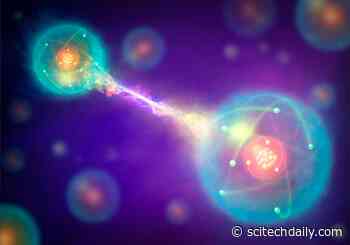 Quantum Breakthrough: New Method Preserves Information Against All Odds