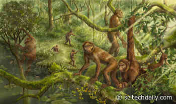 Revolutionary Fossil Find Unveils the Secrets of Early Human Movement