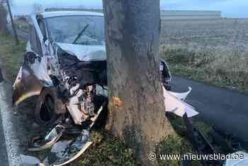 Vrouw (24) naar ziekenhuis na zware klap tegen boom