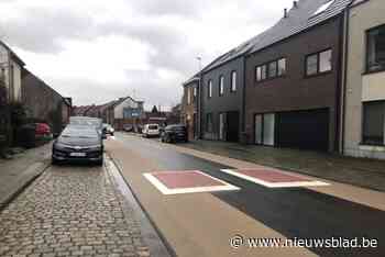 Niet bepaald populair, en toch duiken rijbaankussens her en der op in stad: “We slapen niet meer”